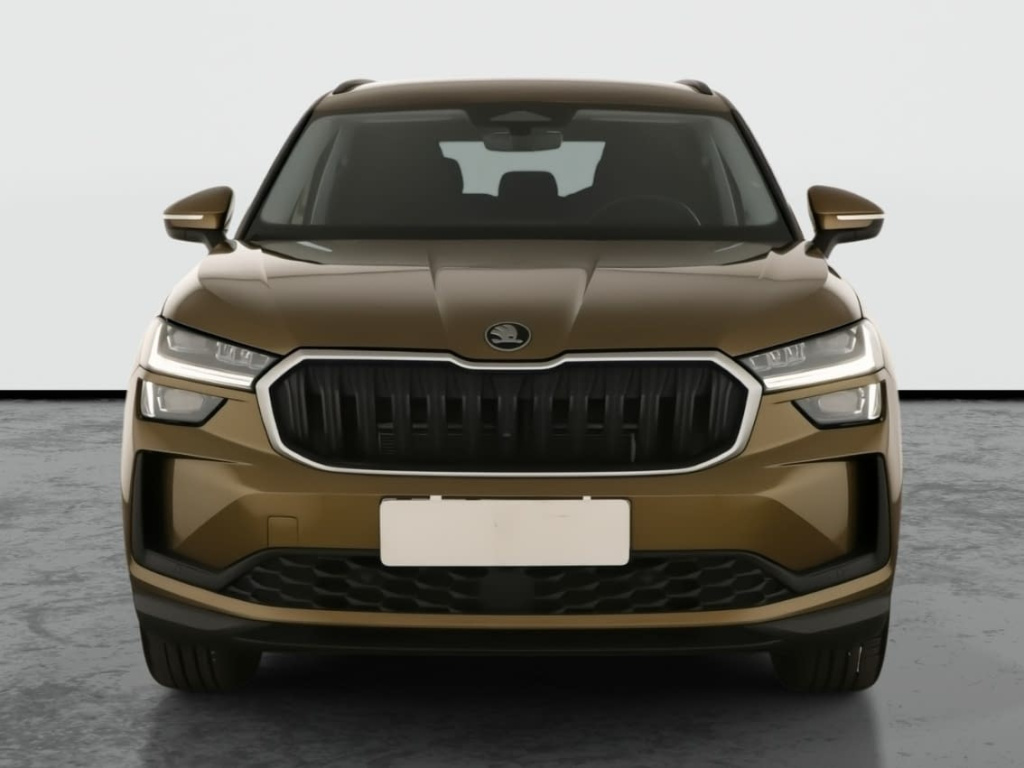 Škoda Kodiaq 2.0 TDI 2024 2