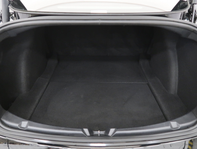 Tesla Model 3 Std Range Plus 55kWh 2021 16