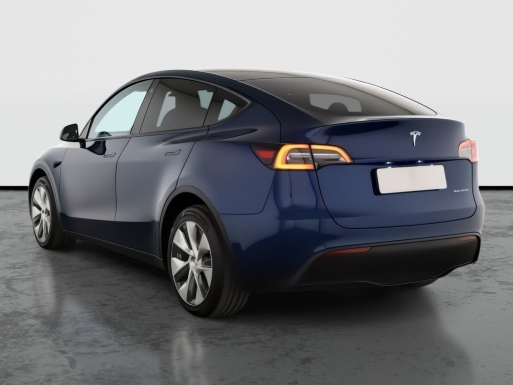 Tesla Model Y 4x4 2021 5