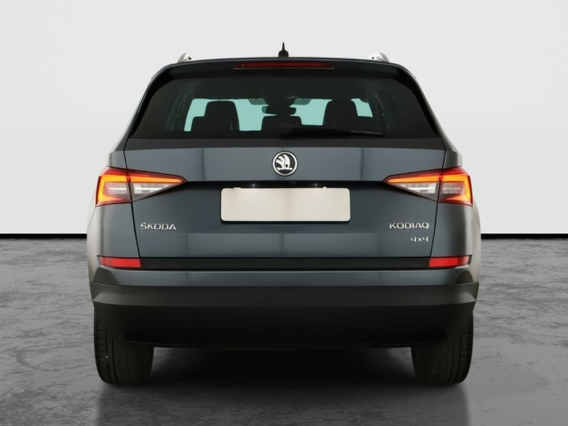 Škoda Kodiaq 2.0 TDI 4x4 2018 6