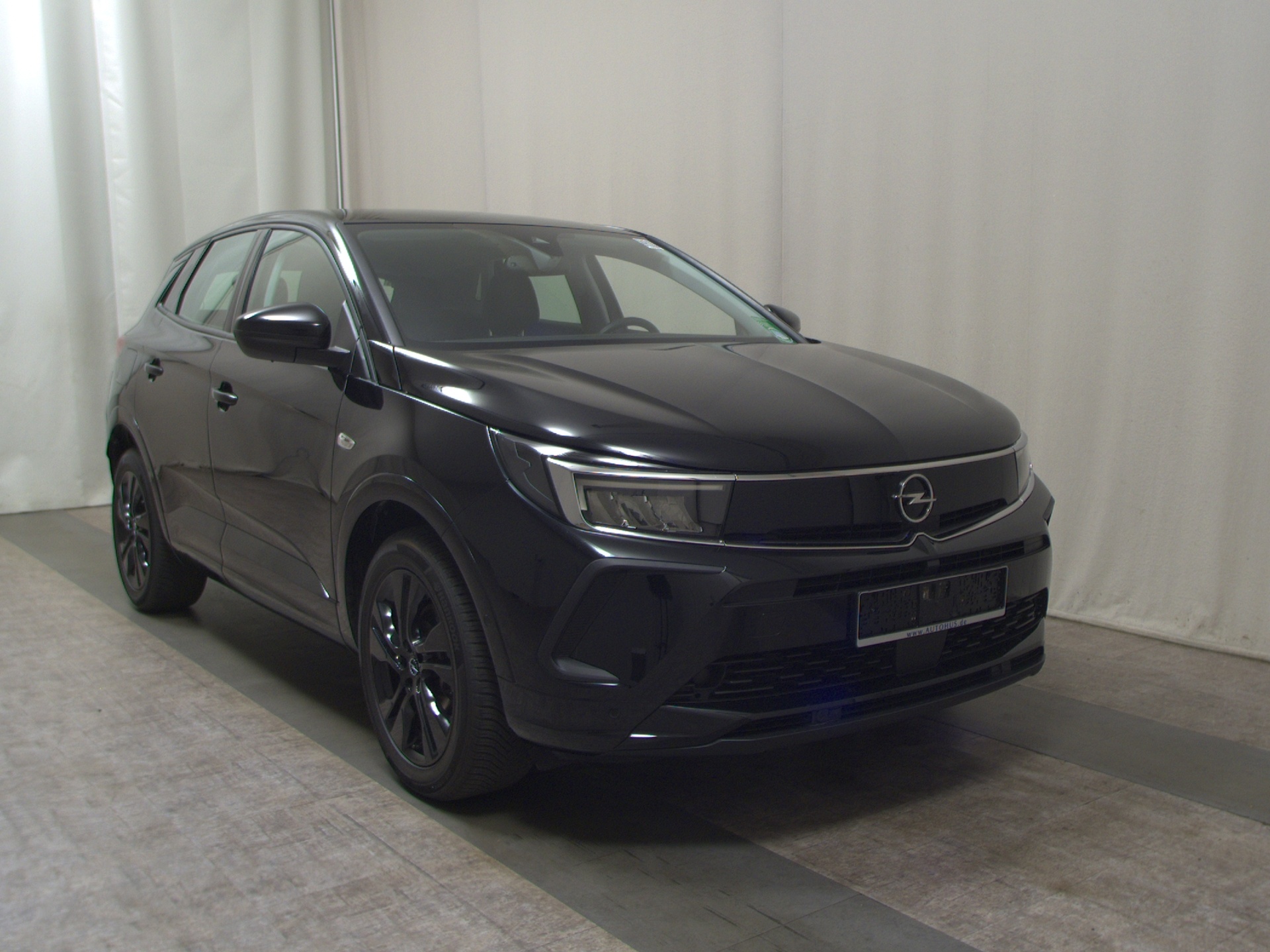Opel Grandland X 1.5 D GS Line T-Leder LED DAB RFK 3