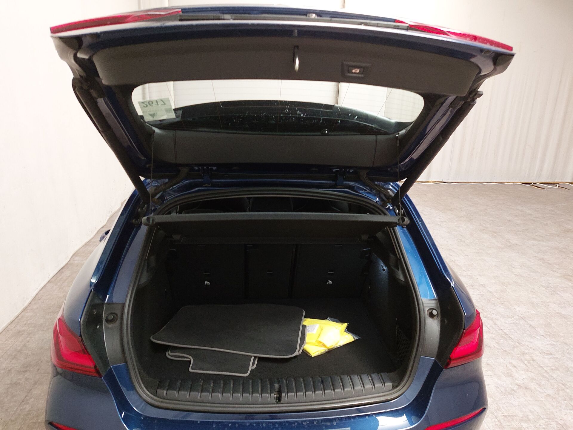 BMW 120d xDr Sport-Line Navi LC Pro LED HiFi 19