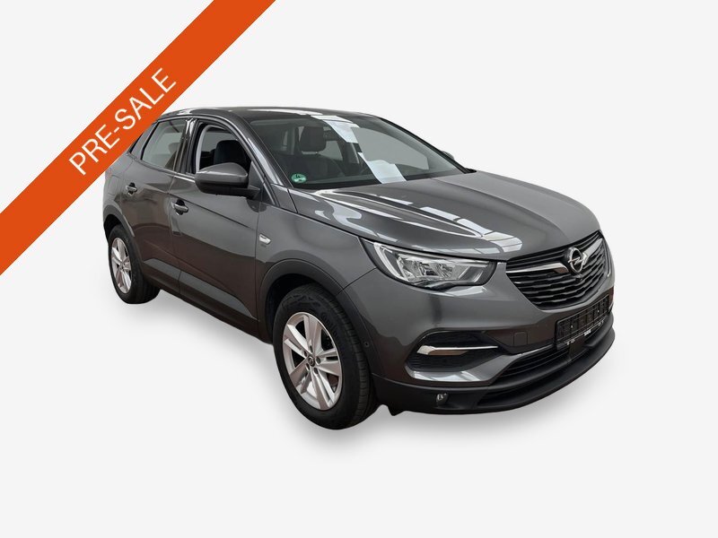 Opel Grandland X 1.5 D Business Ed. Navi LED RFK T-Leder SHZ