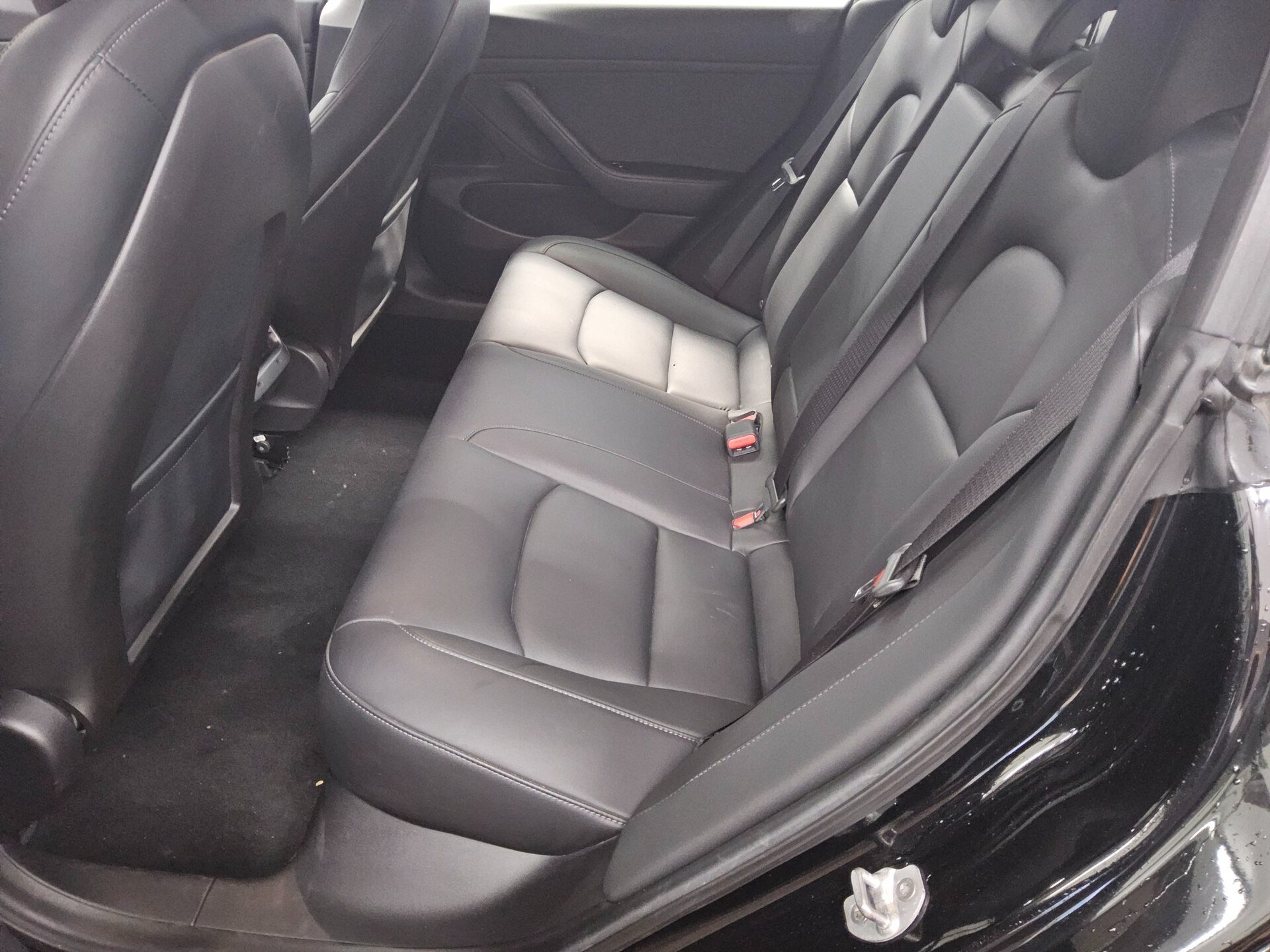 Tesla Model 3 Navi LED Pano Leder RFK 13