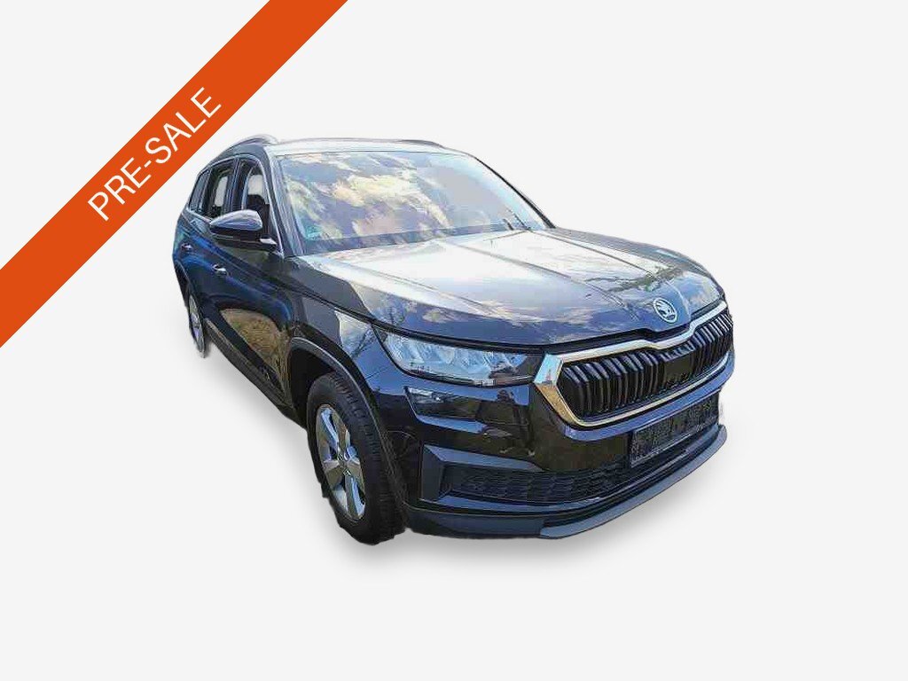 Skoda Kodiaq 2.0 TDI Navi vc AHK LED