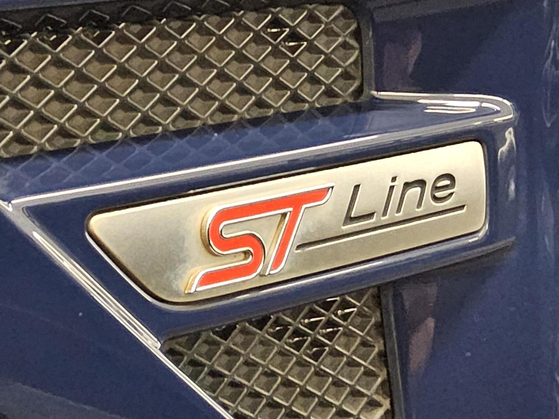 Ford S-Max 2.0 EB ST-Line Navi LED Pano RFK Shz 11