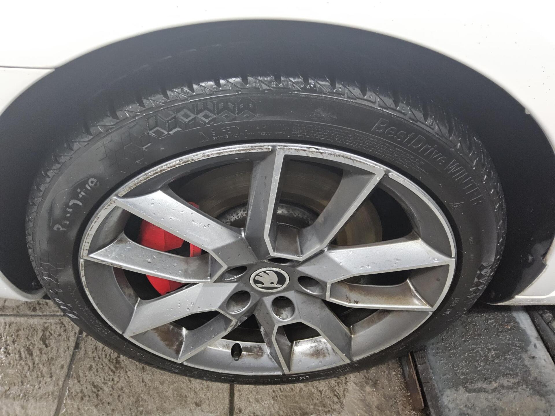 Skoda Octavia 2.0 TSI RS T-Leder Shz PDC Xenon 10