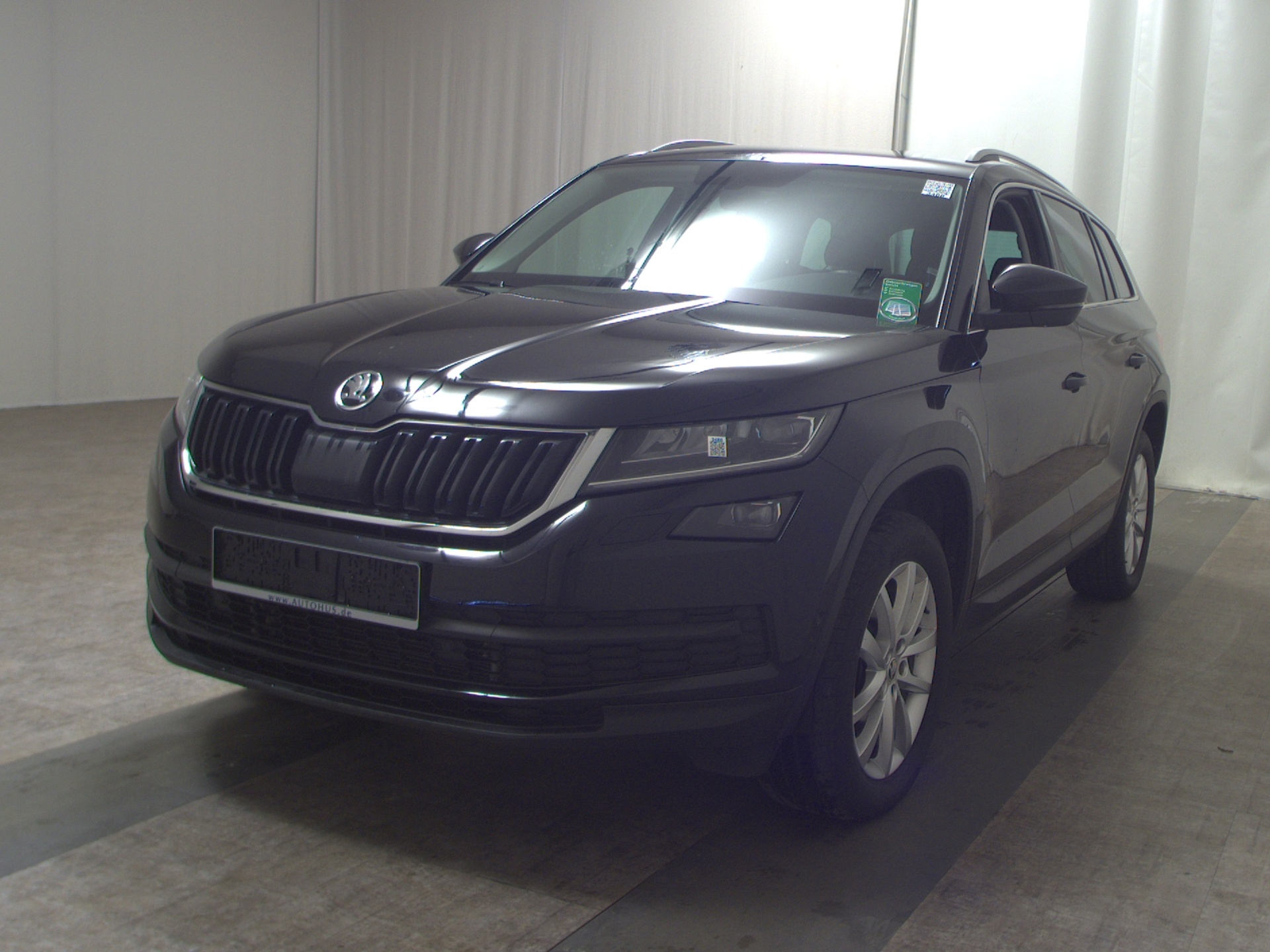 Skoda Kodiaq 2.0 TDI 4x4 Style LED RFK StandHzg 2