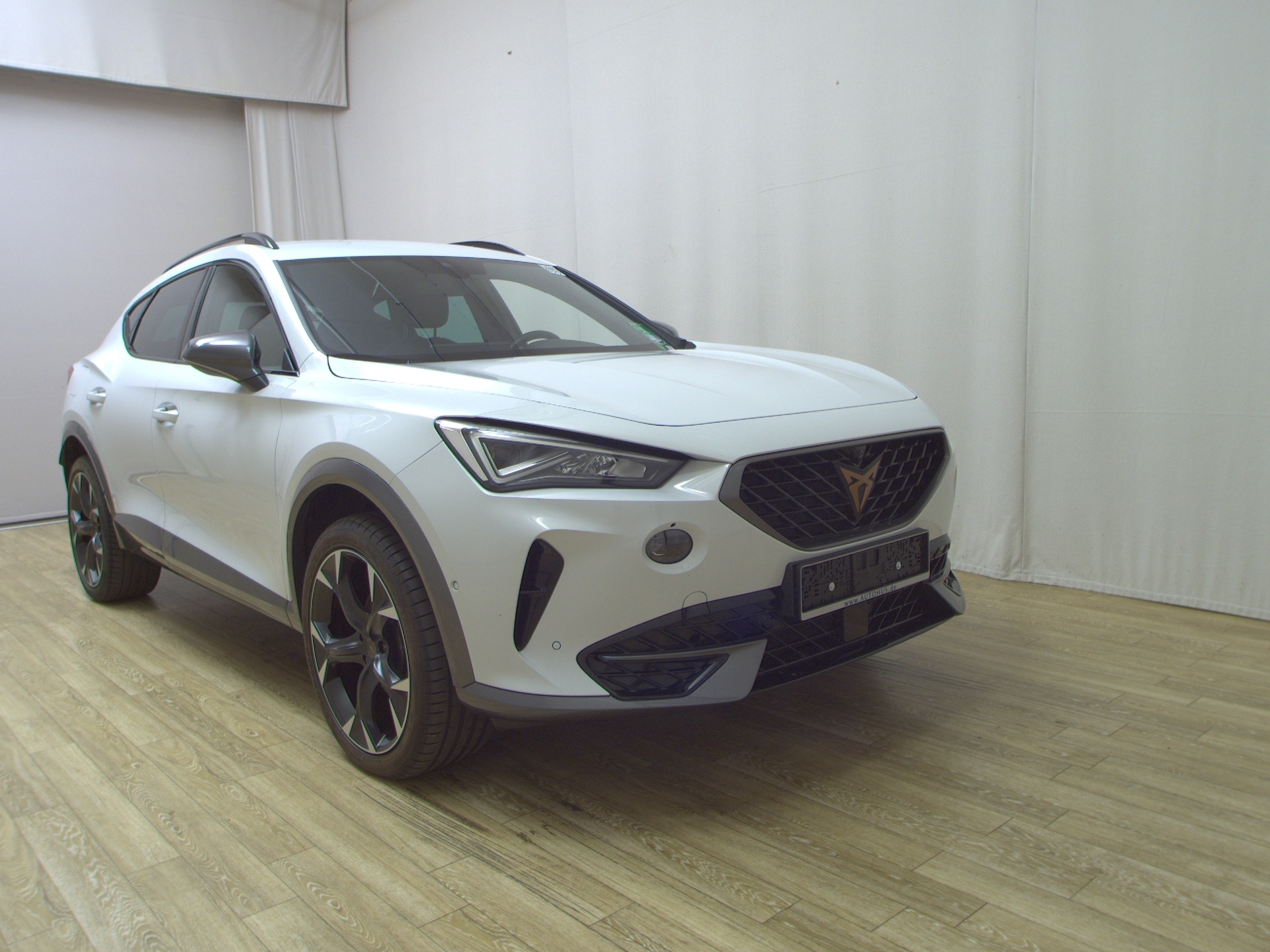 Cupra Formentor 2.0 TDI 4Drive Navi LED ACC 360° Shz 3