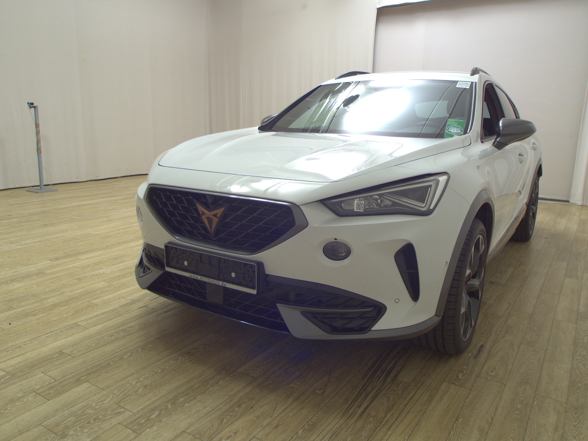 Cupra Formentor 2.0 TDI 4Drive Navi LED ACC 360° Shz 2