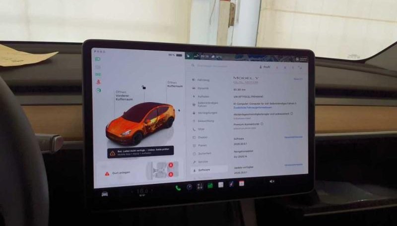 Tesla Model Y Performance Dual AWD 10
