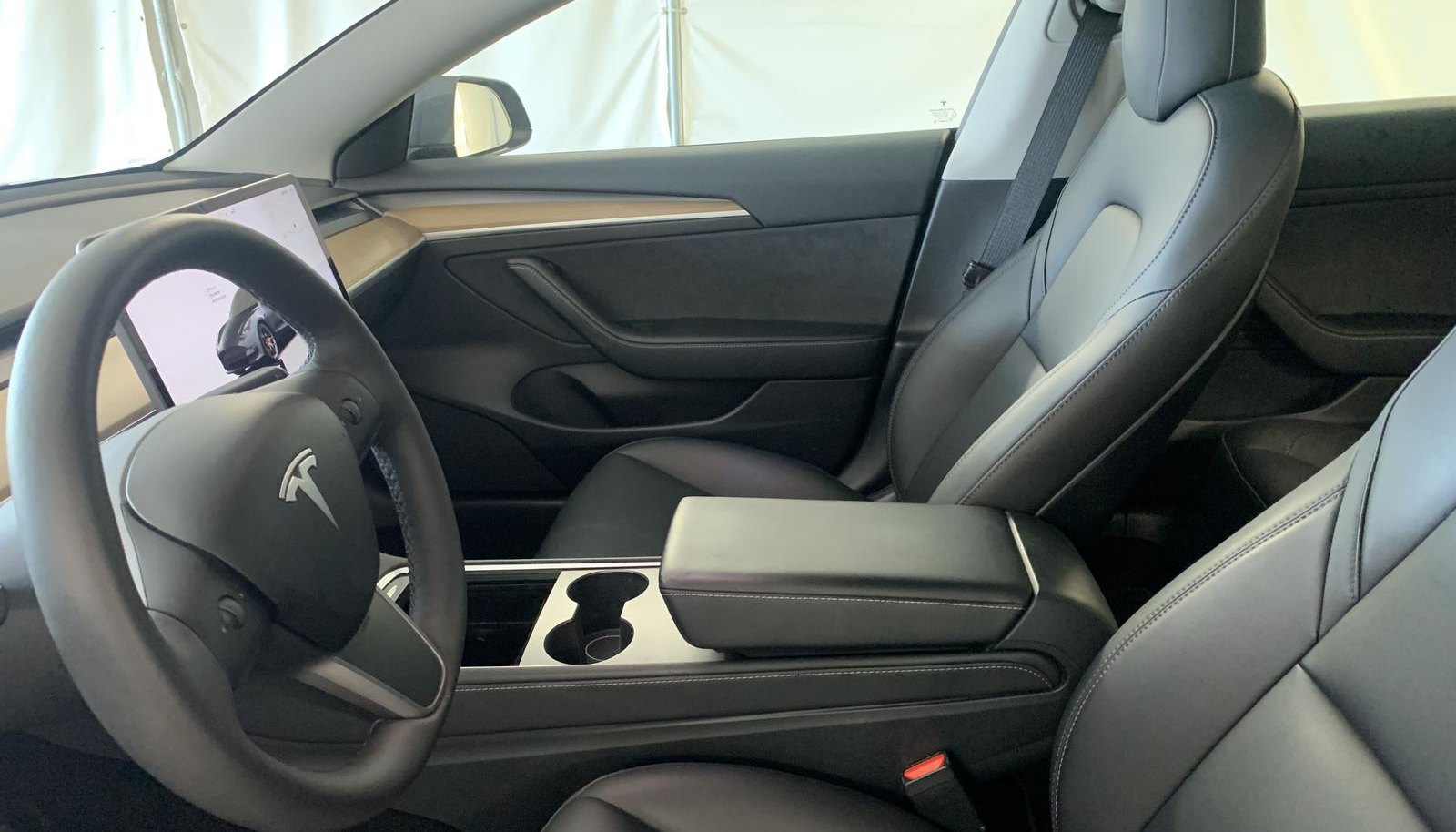 Tesla Model 3 Performance 10