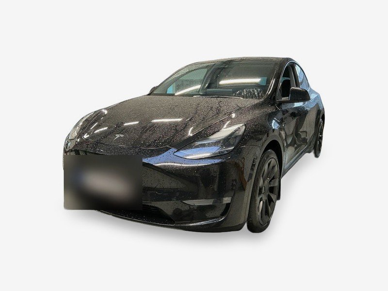 Tesla Model Y Long Range AWD Leder Navi LED Pano