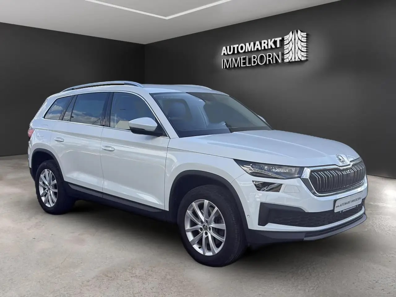 Skoda Kodiaq Style4x4 AHK*Kamera*Leder*STHZ*ACC*Matrix
