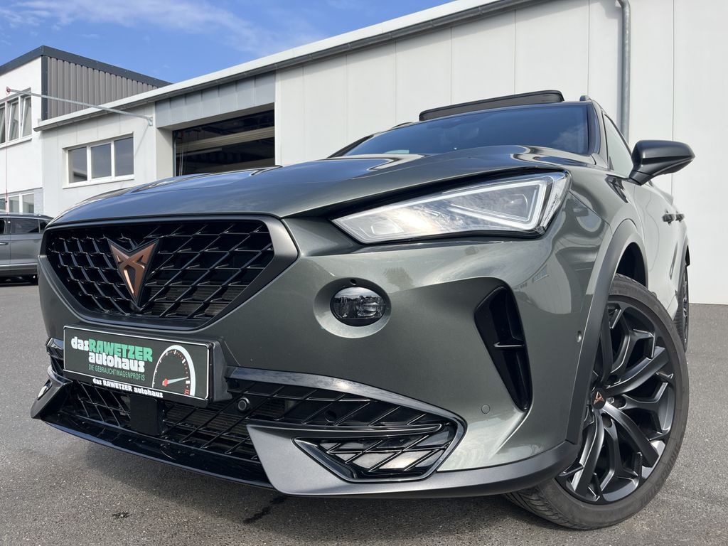 Cupra Formentor 2.0 TSI DSG 4Drive VZ Tribe Edition 21