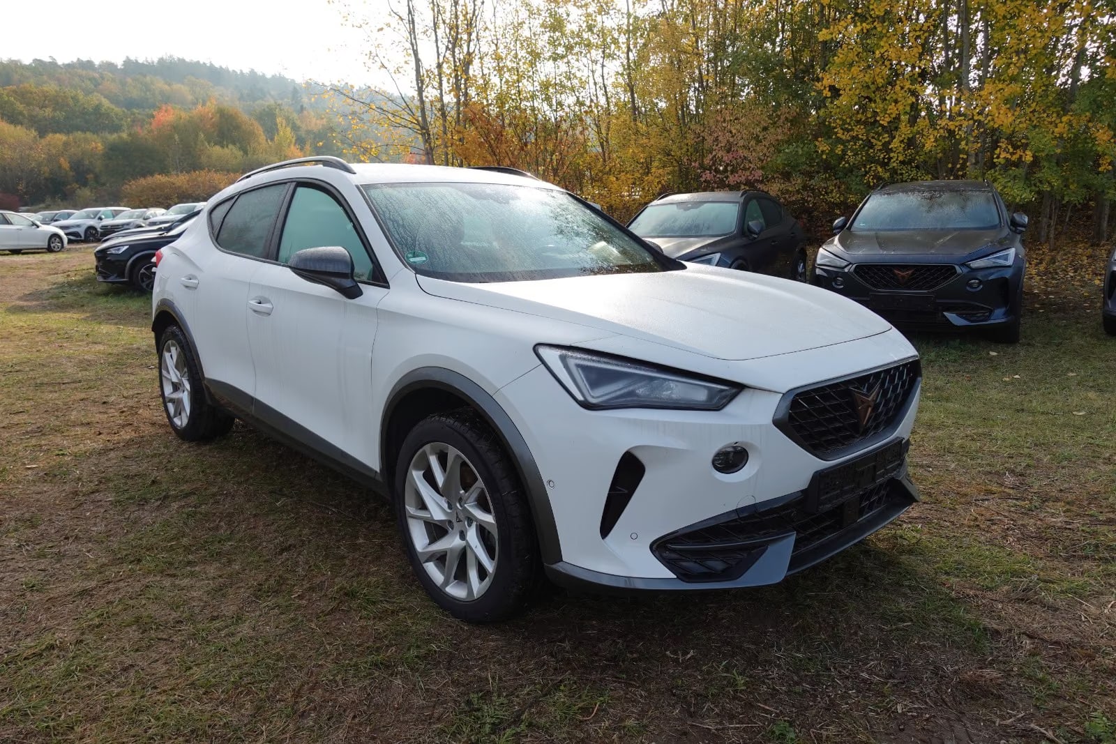 Cupra Formentor 1.4 2023 3