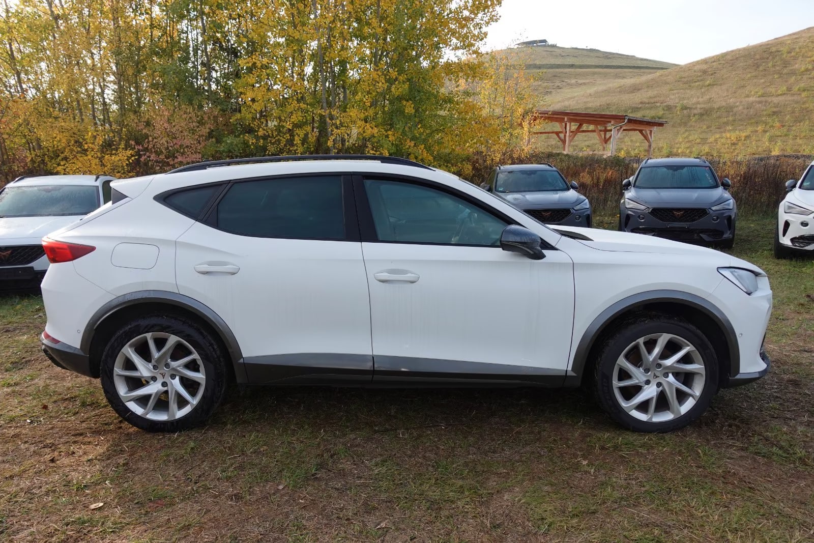 Cupra Formentor 1.4 2023 4
