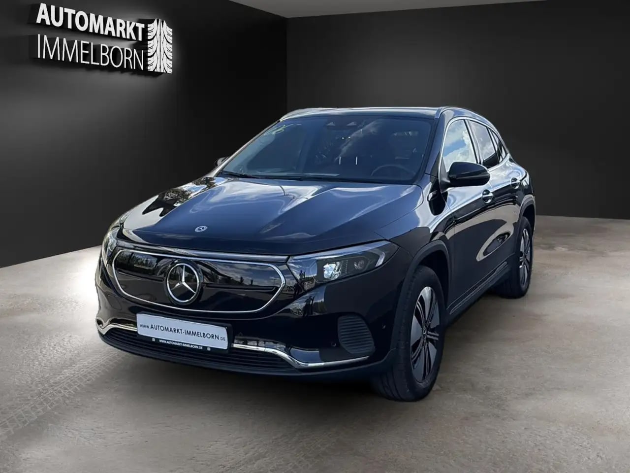 Mercedes-Benz EQA 250 Distro*Sound*Kamera*LED*TW*Spur*Leder 3