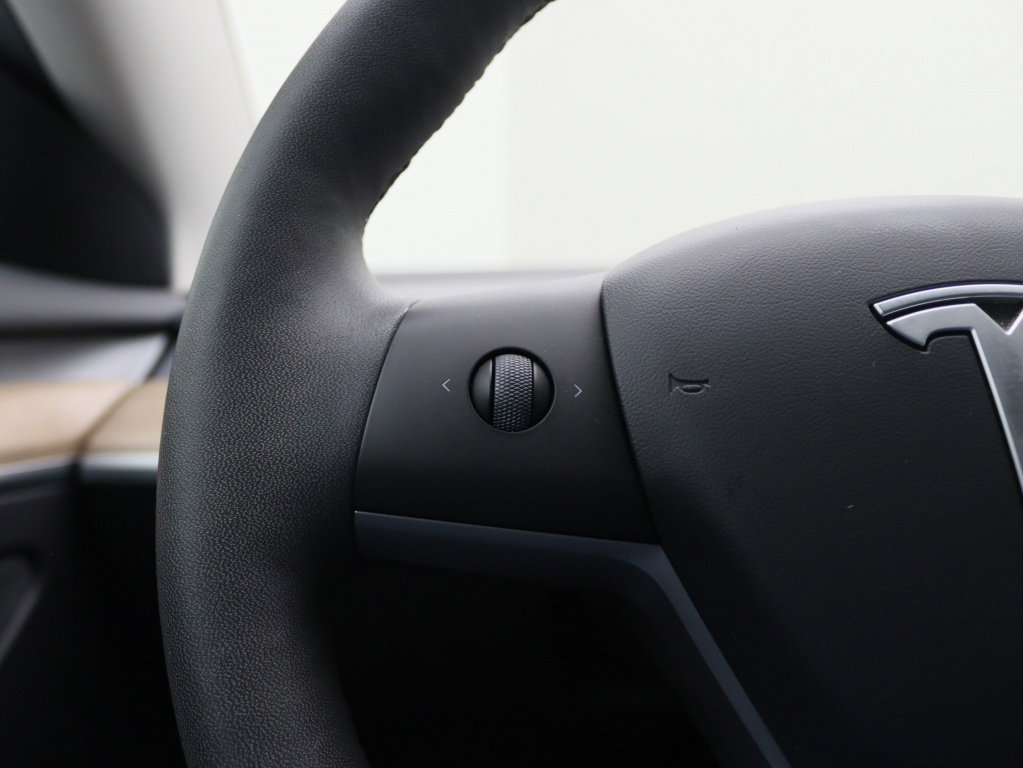 Tesla Model 3 Standard Plus RWD 21
