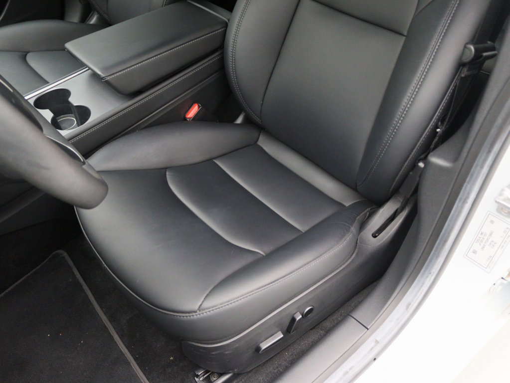 Tesla Model 3 Standard Plus RWD 18