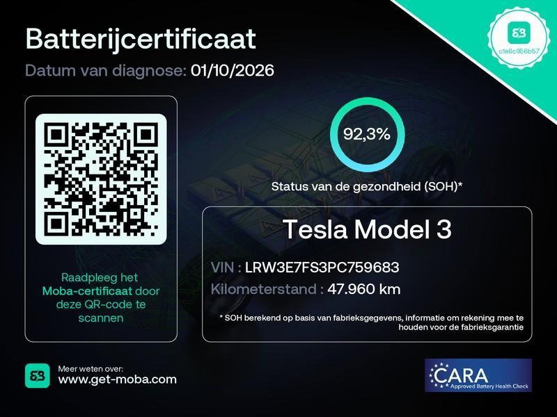 Tesla Model 3 Standard Plus RWD 13