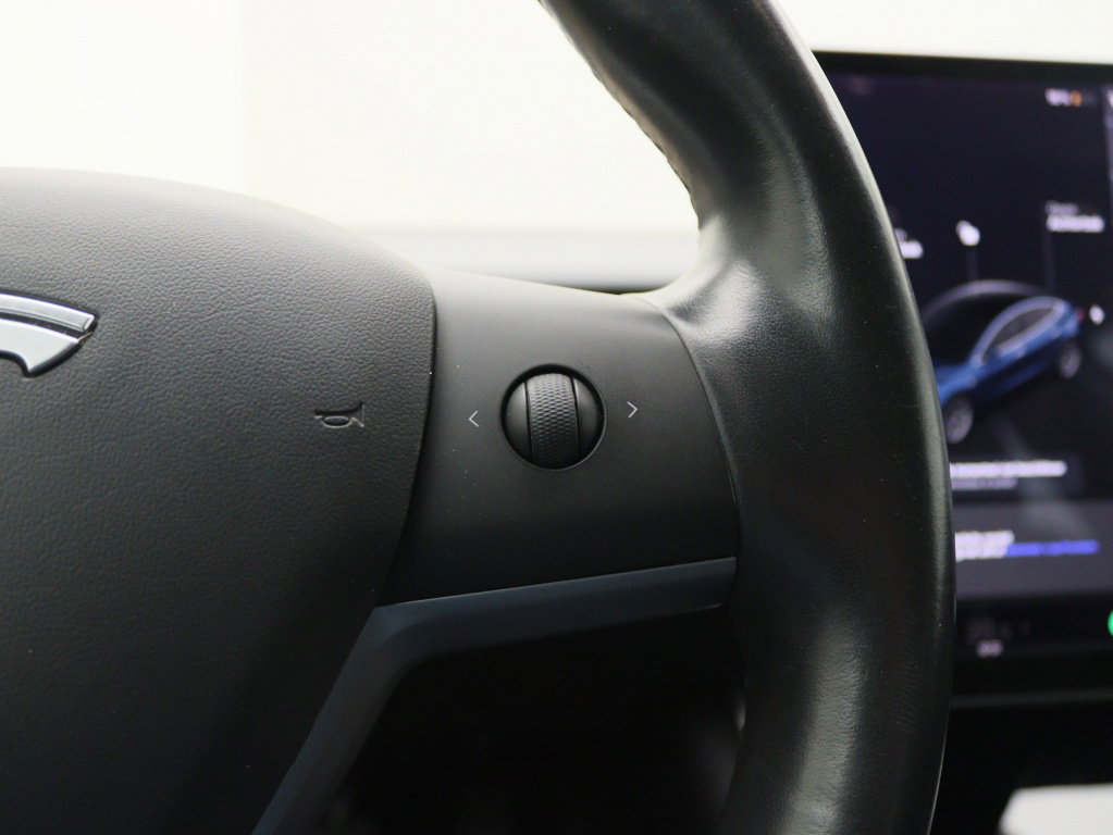 Tesla Model 3 Standard Plus RWD 21