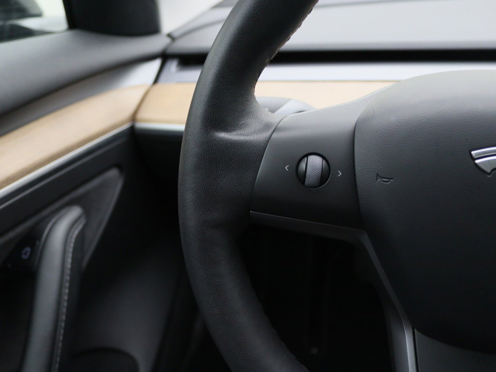 Tesla Model 3 Standard Plus RWD 21
