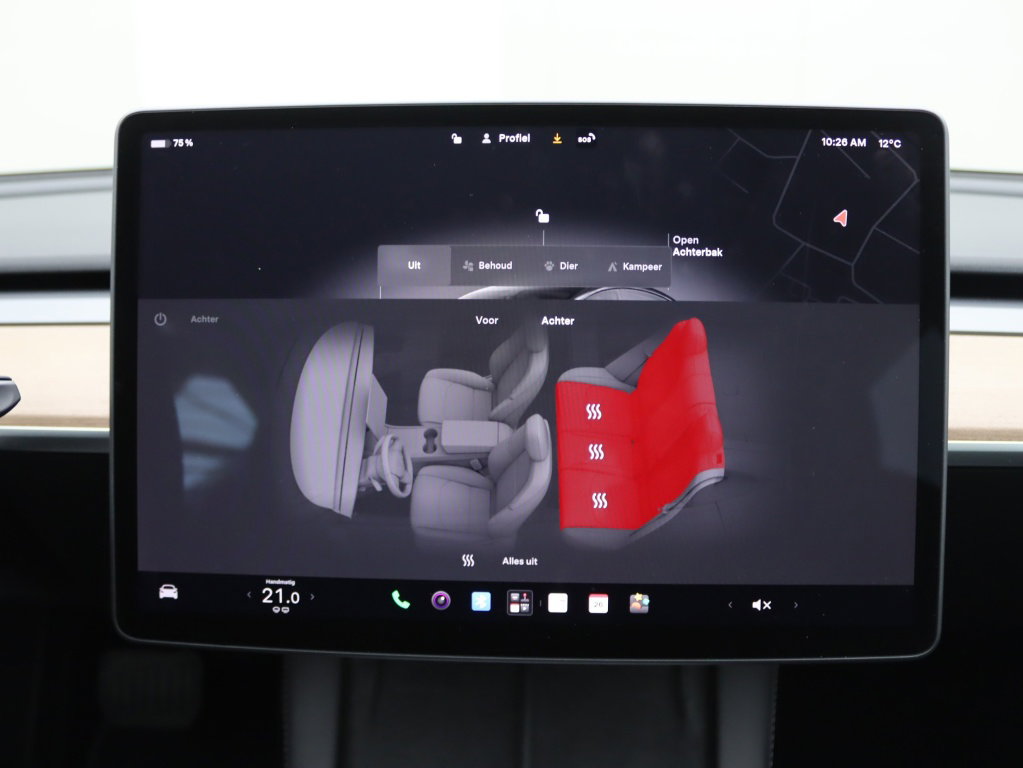 Tesla Model 3 Standard Plus RWD 10