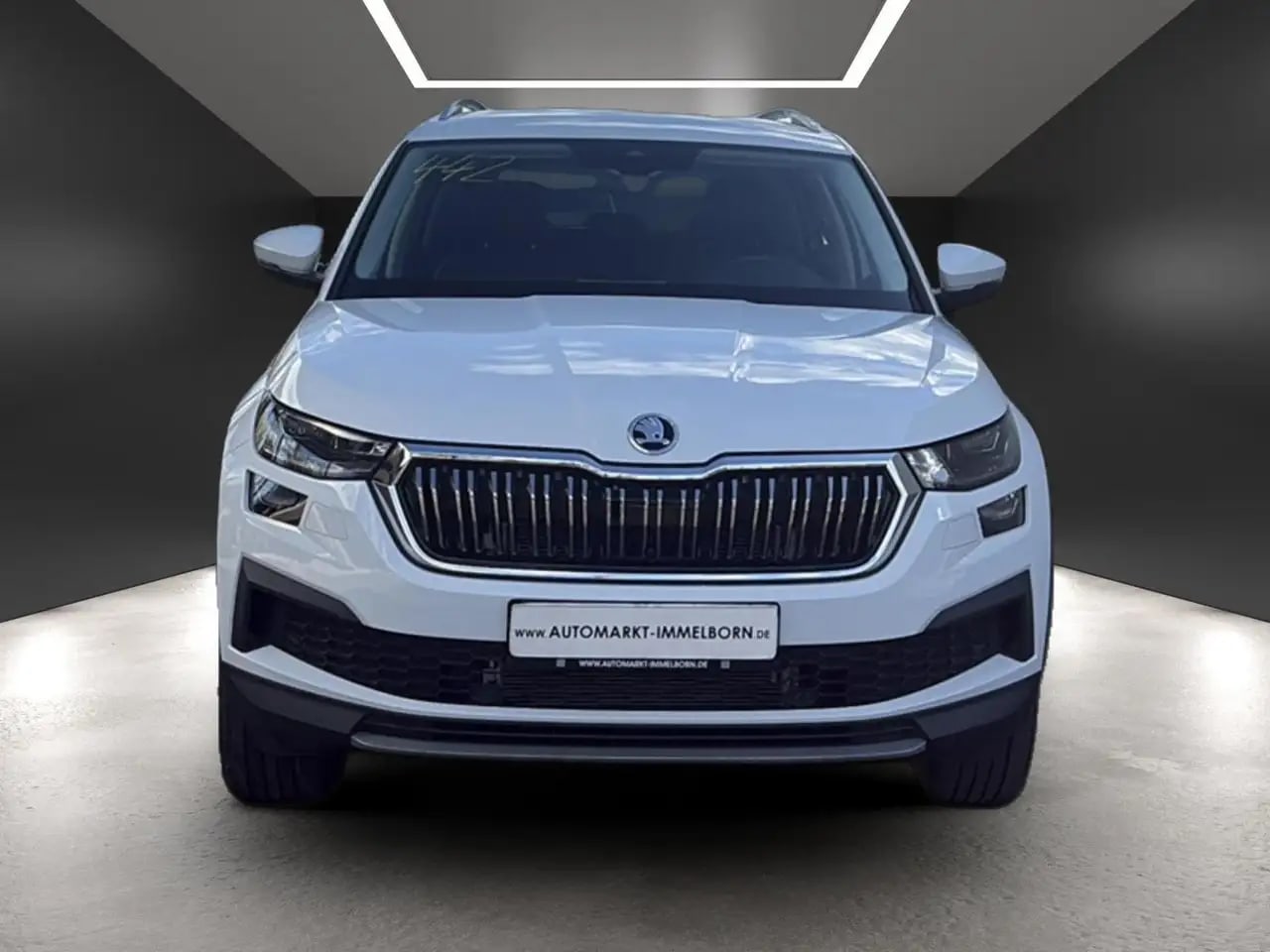 Skoda Kodiaq Style4x4 AHK*Kamera*Leder*STHZ*ACC*Matrix 9