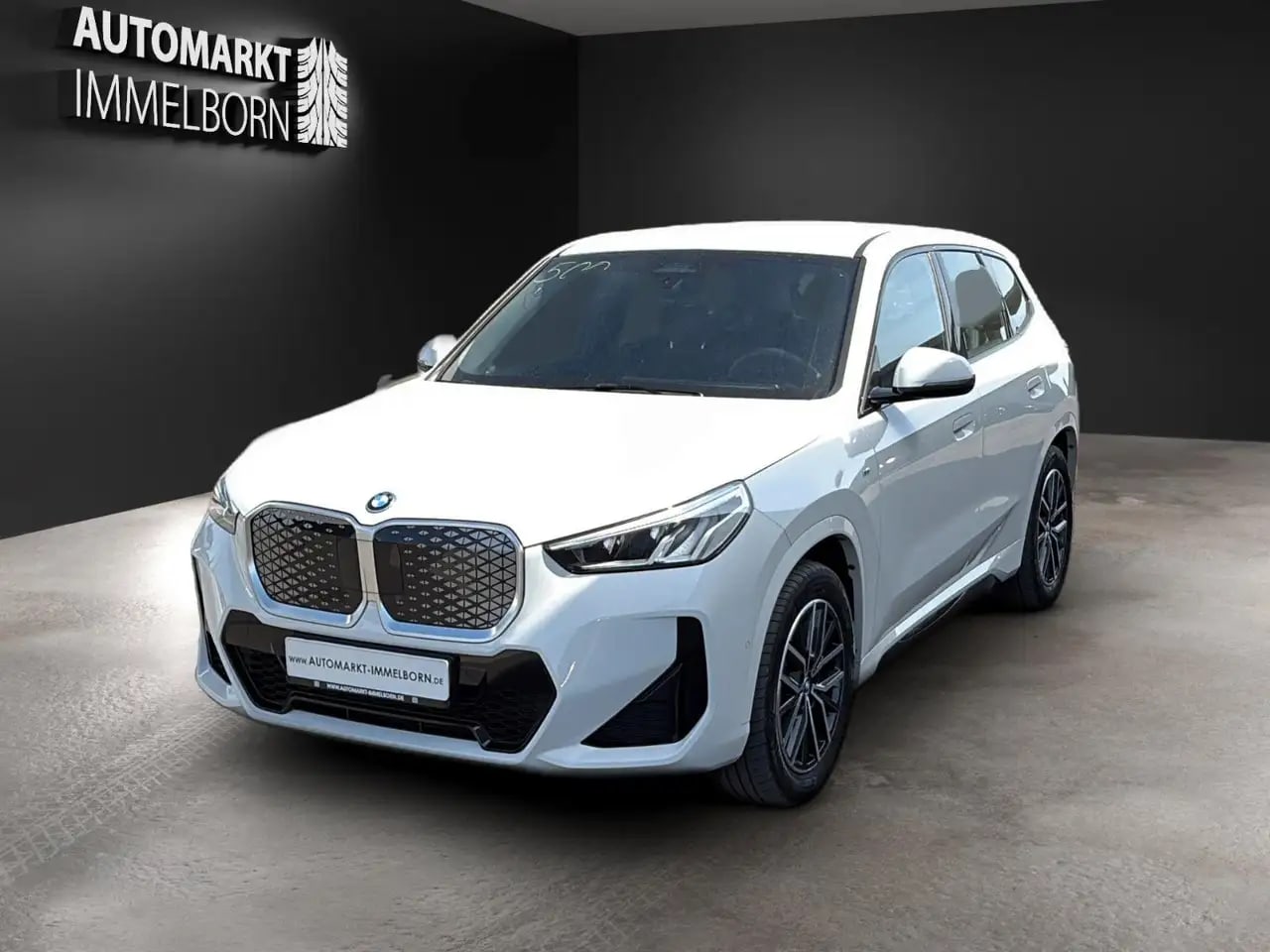 BMW iX1 30 xDrive M Sport LED*Navi+*Alcant*SOH 99,1% 2