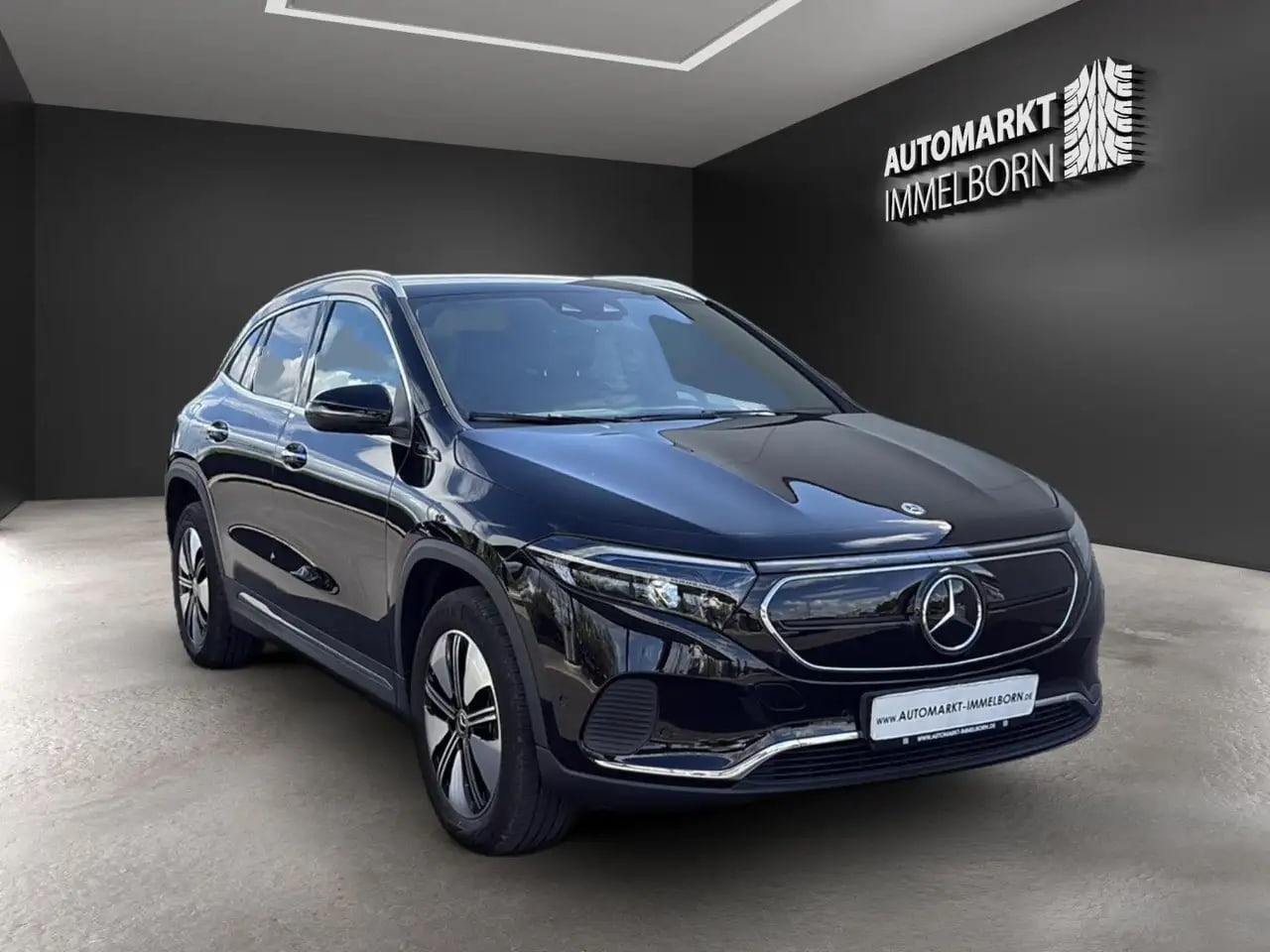 Mercedes-Benz EQA 250 Distro*Sound*Kamera*LED*TW*Spur*Leder 2