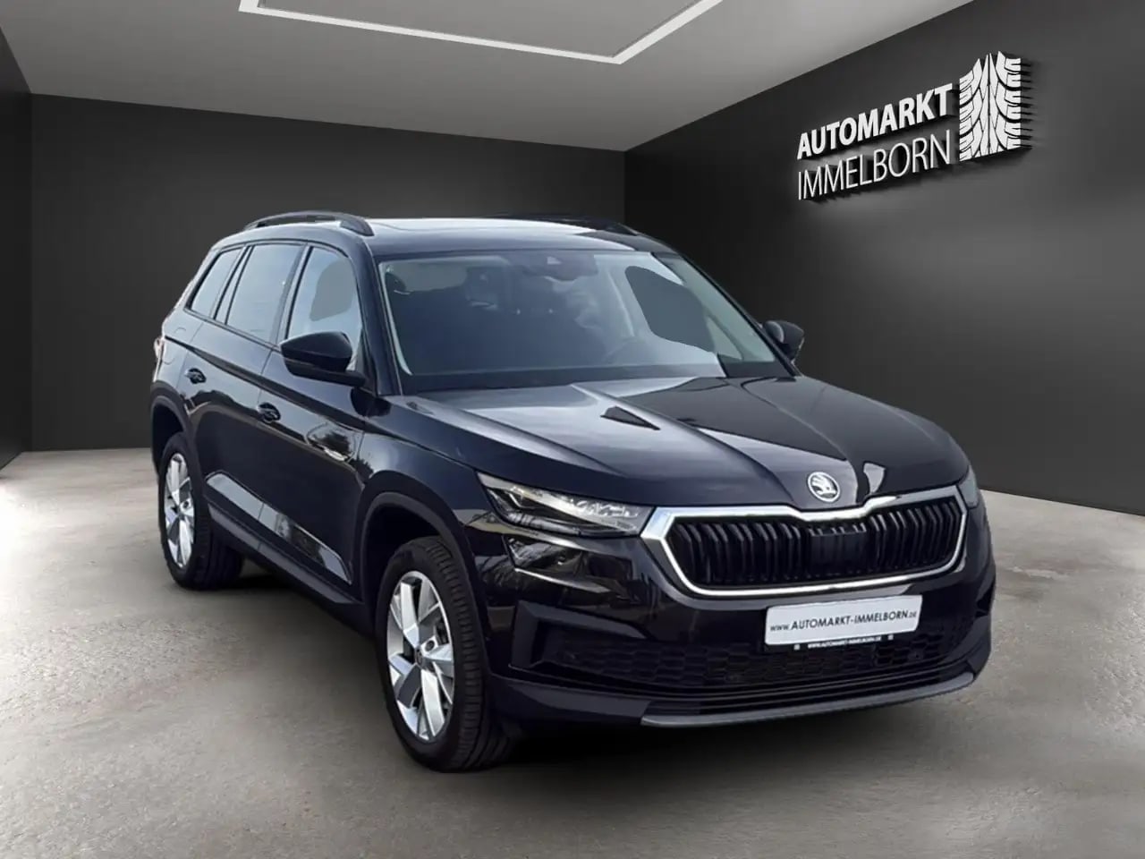Skoda Kodiaq Tour 4x4 Kamera*19*Pano*LED*AHK*4xSHZ*DAB 2