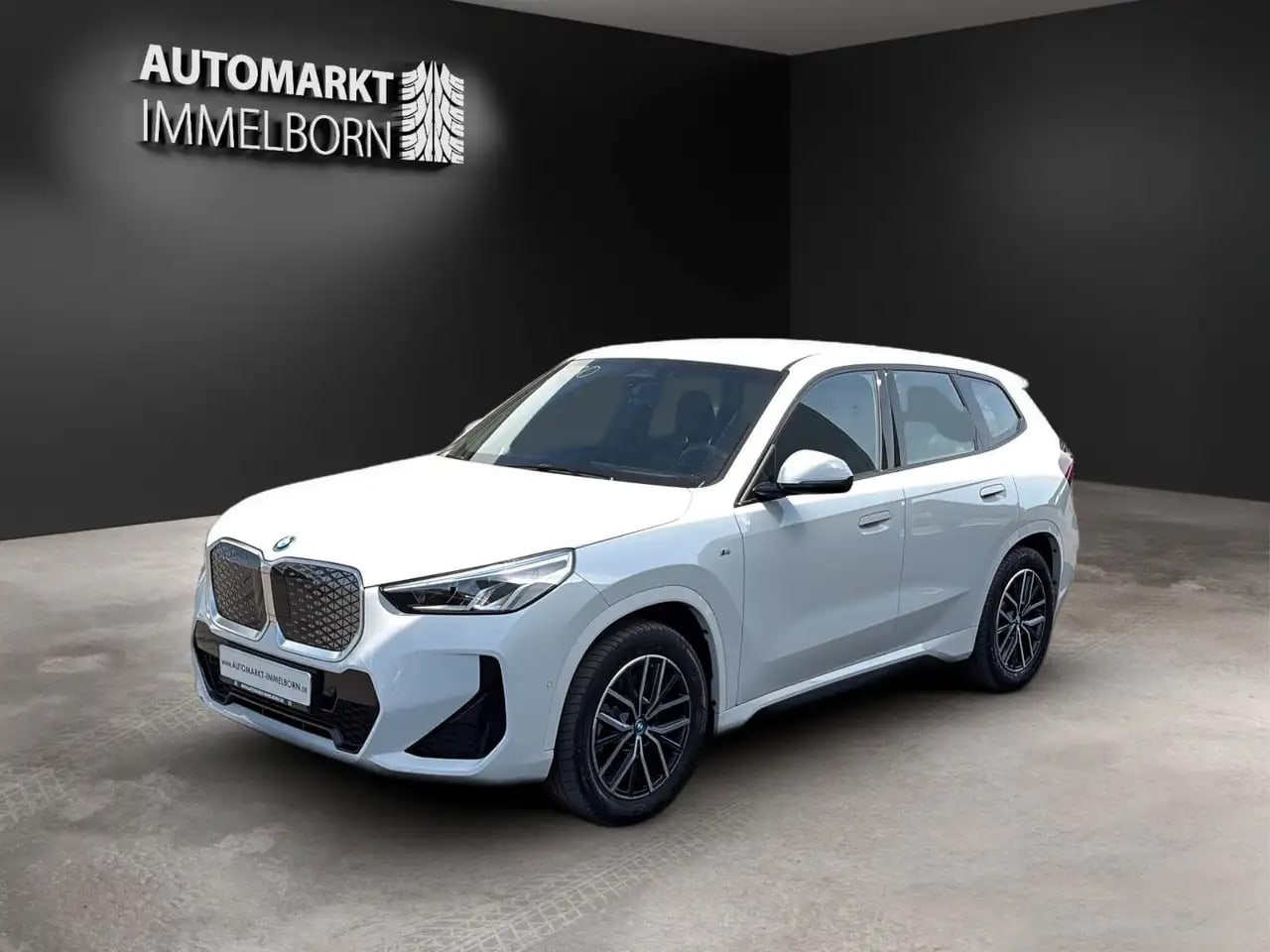 BMW iX1 30 xDrive M Sport LED*Navi+*Alcant*SOH 99,1% 4